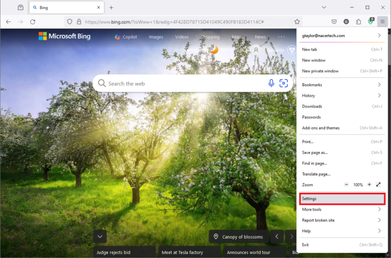 Firefox settings