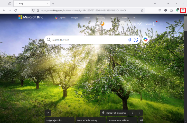 Firefox settings and more