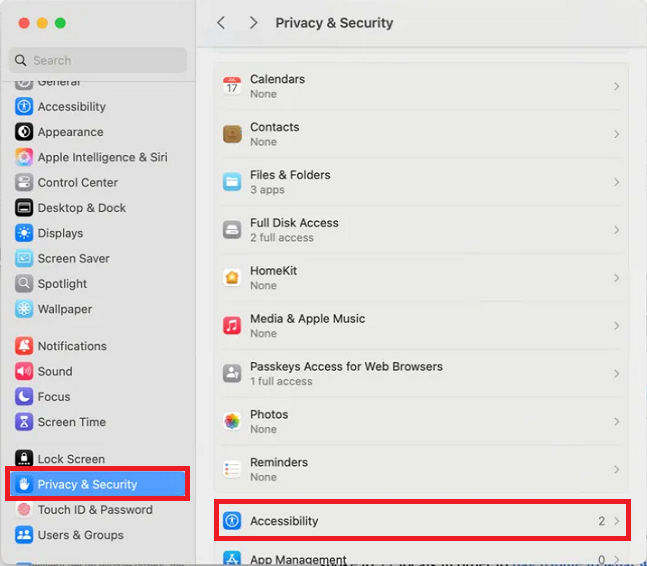 Privacy & Security > Accessibility