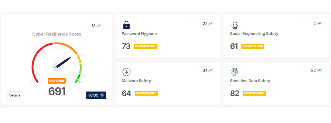 Cyber Resilience Score
